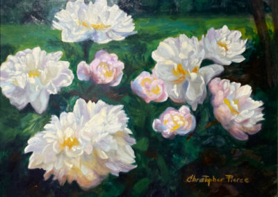 Grace’s Peonies