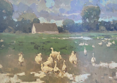 Guernsey Geese