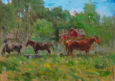 Horses in the Meadow