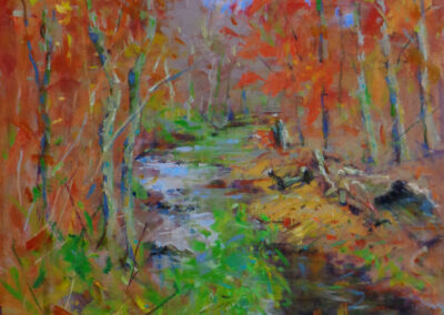 Audubon Creek, Bernardsville