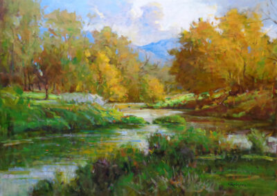 Fall Stream