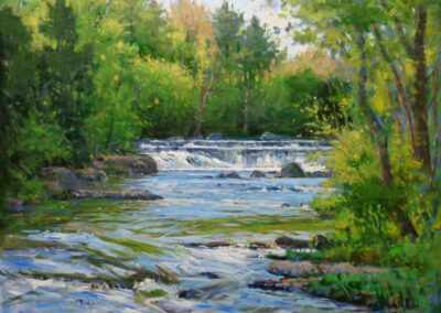 Late Afternoon Stream
